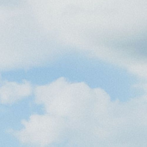 张筱雨大荫蒂毛茸茸图片
