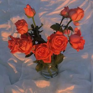 张筱雨大荫蒂毛茸茸图片
