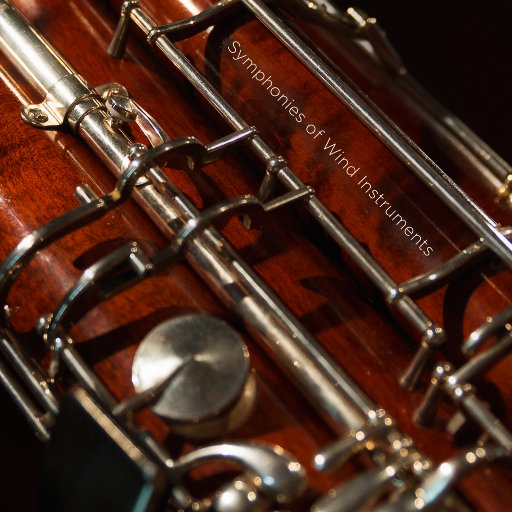 张筱雨大荫蒂毛茸茸图片
